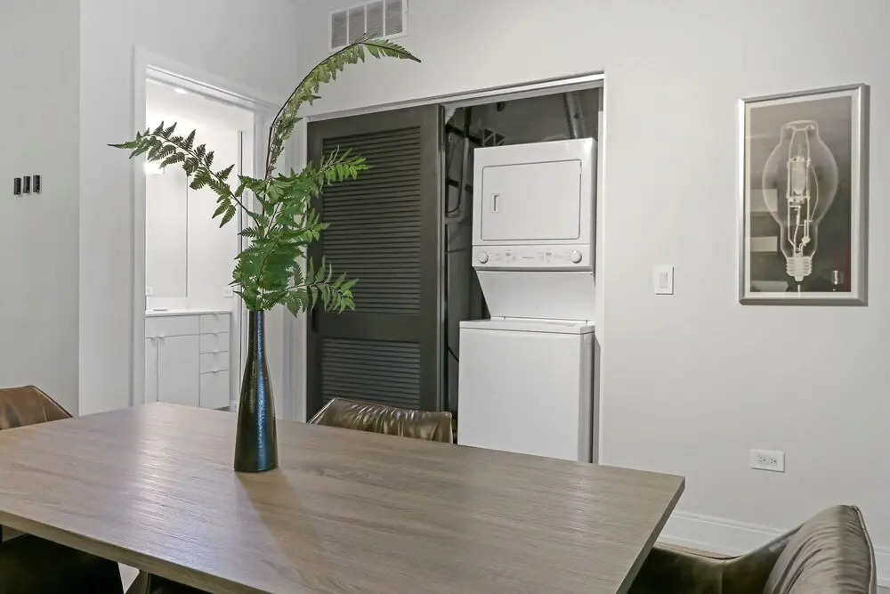 Beautiful 1BR Apt w Laundry in Belmont