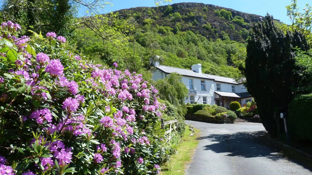 Ty Afon - River House
