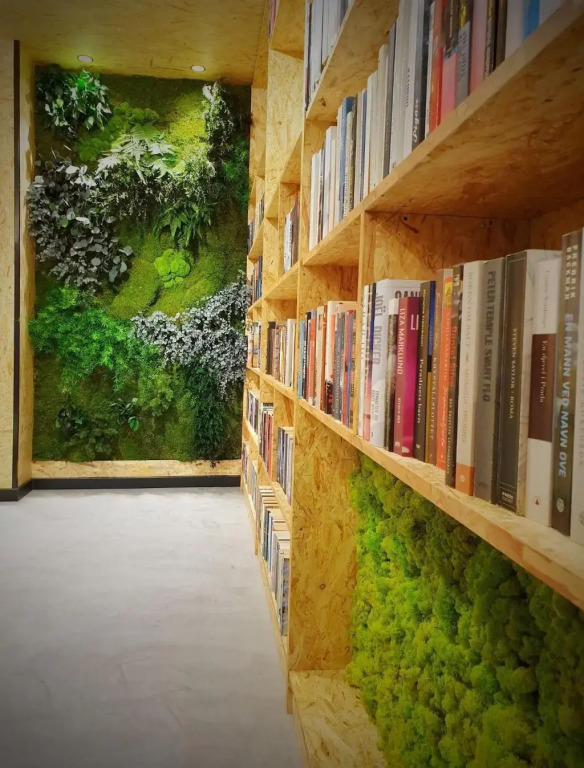 MB Hostels Premium ECO