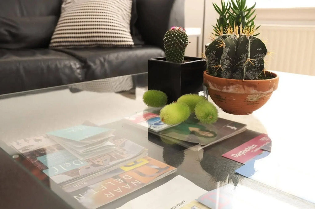 Comfortable Apartment City Centre Delft