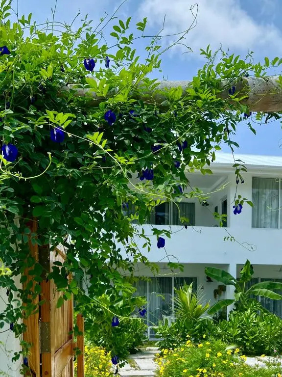 Fairytale Inn