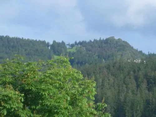 Ferienwohnung Bergsicht