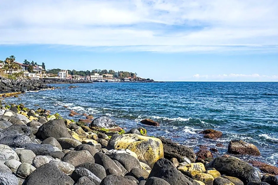 B&B Sea Terrace