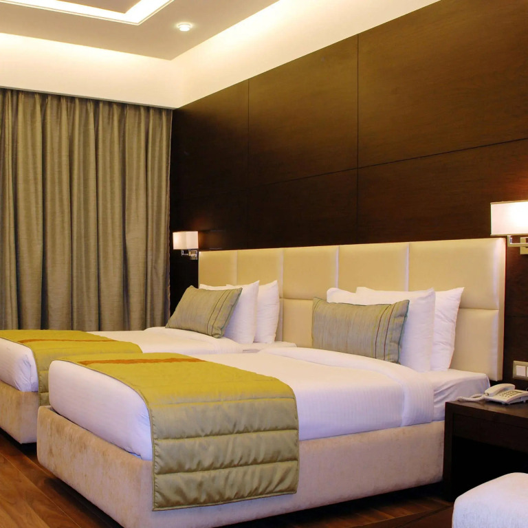 Hotel Africa Avenue - Greater Kailash 1