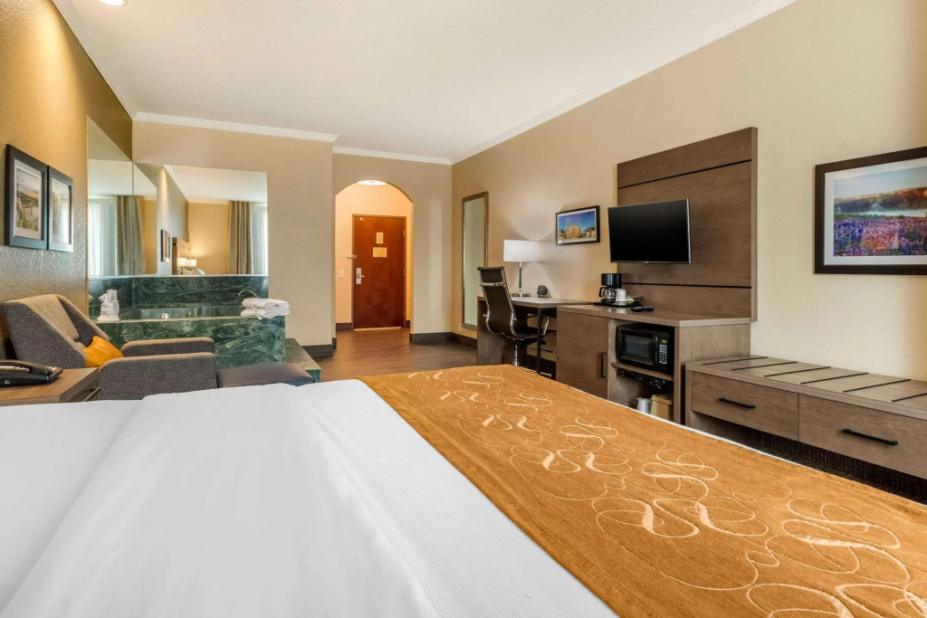Comfort Suites Baytown I - 10