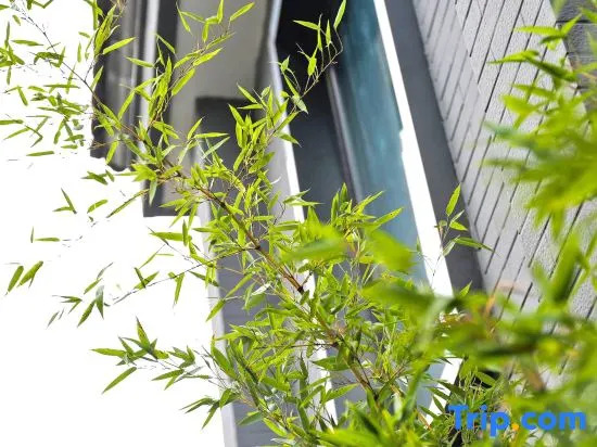 TRUE GO Chinese Siheyuan Hotel (Beijing Wangfujing Xiehe Hospital)