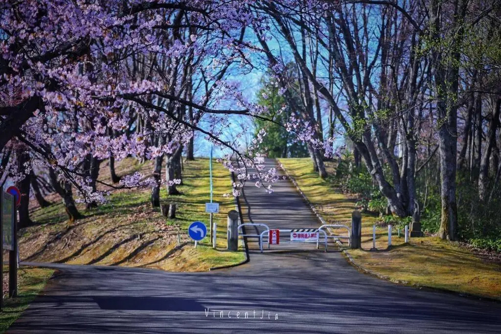 Furano CUBE SUGAR-方糖民宿,步行8min到雪场,3 brs,Max 6ppl