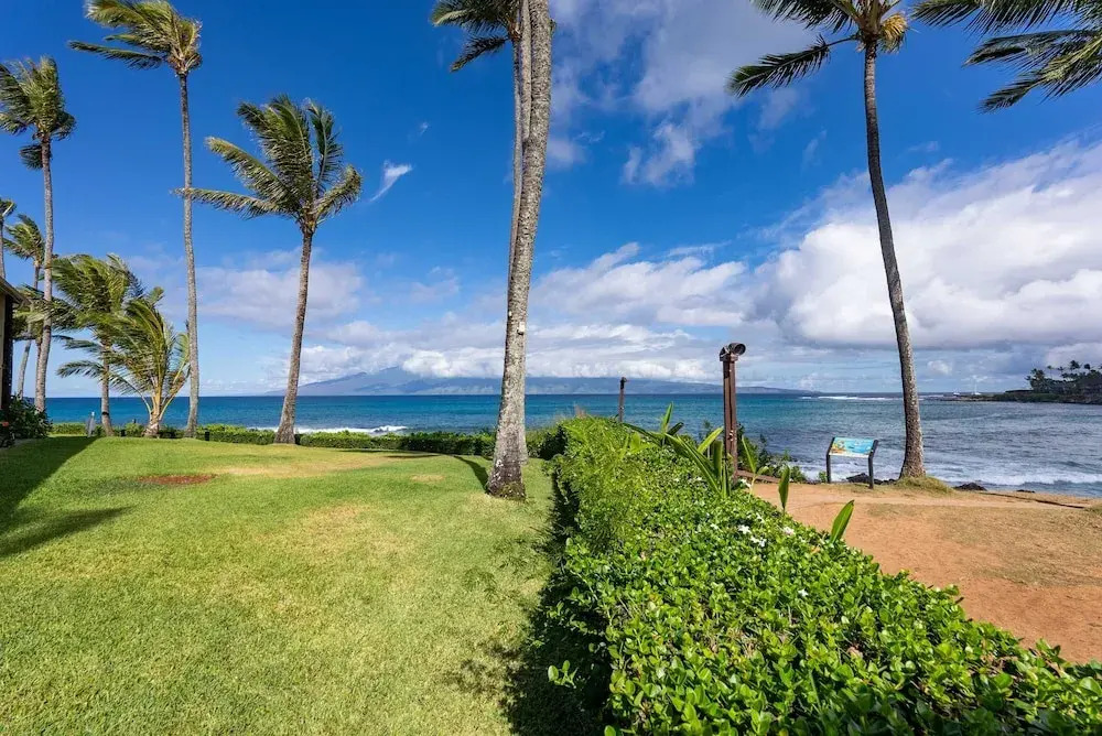 Napili Shores A106 0 Bedroom Condo by RedAwning
