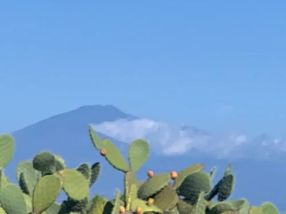Sbarcatore dei Turchi - Dimore