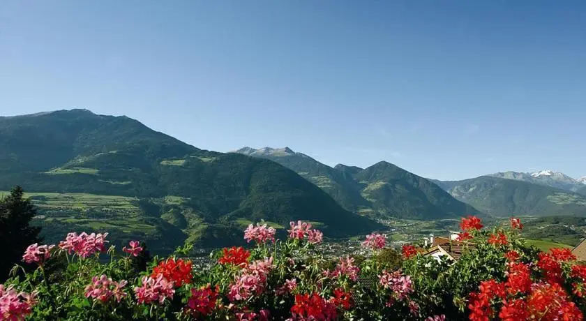 Hotel Tyrol Plose