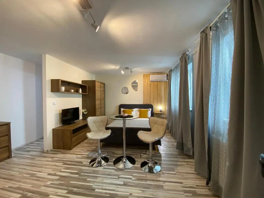 Urseni Studio Apartment