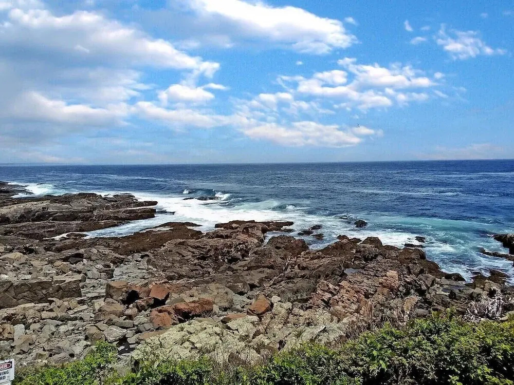 Seacoast Sanctuary