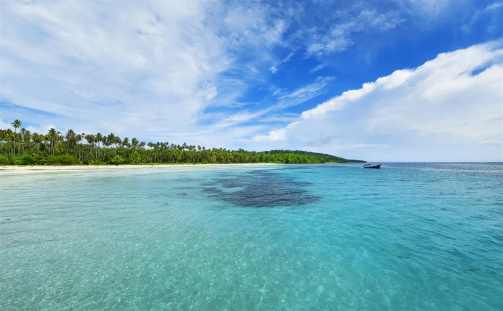 Coconut Lodge Resort