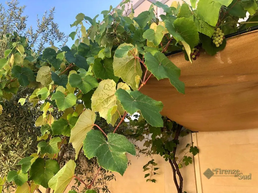 La Firenze Del Sud