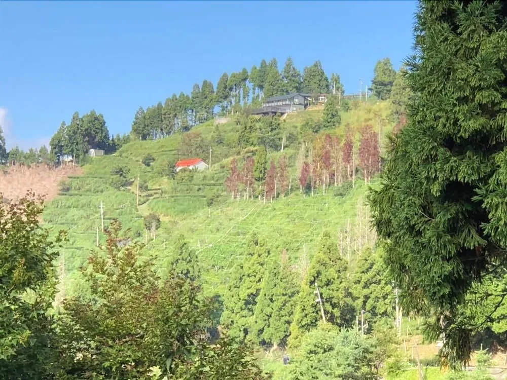 New Century Farm Stay