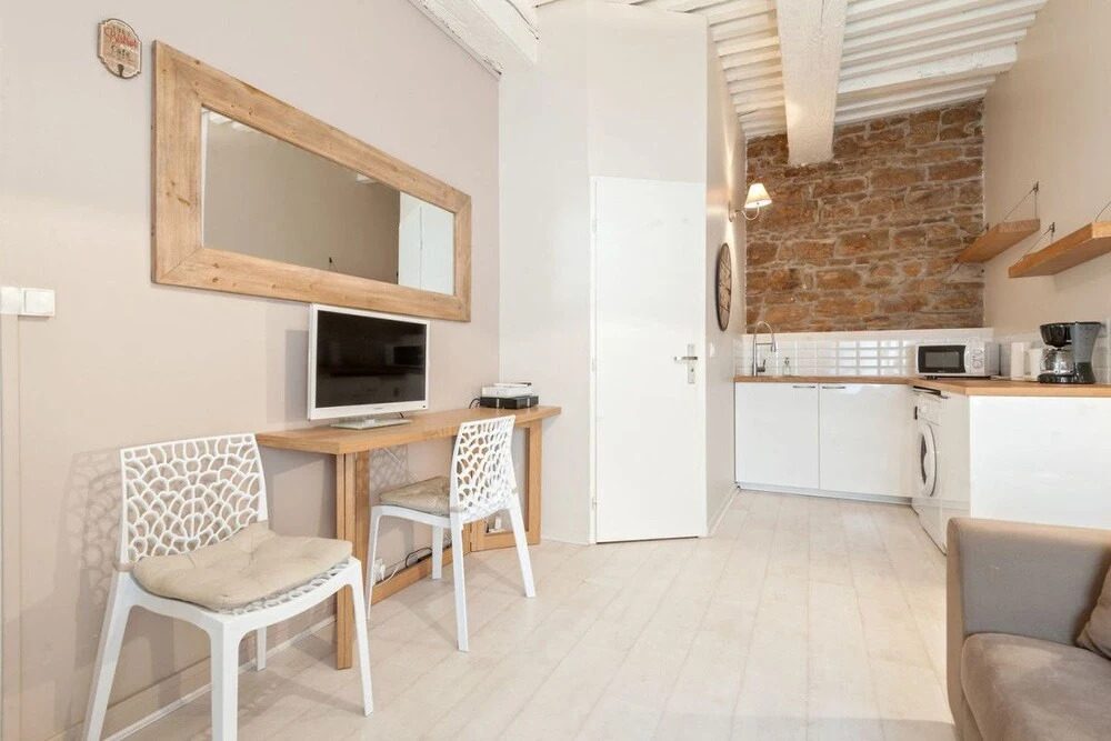 Lovely Studio in Downtown Lyon