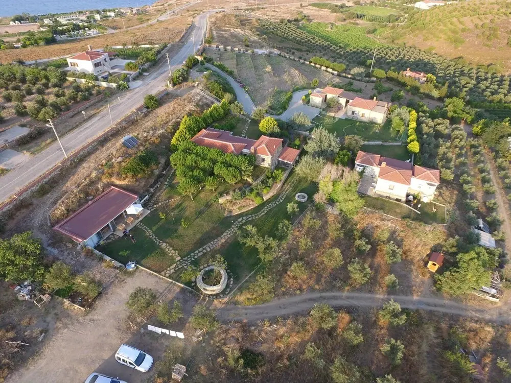 Mavi Karga