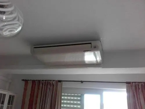 Dolamar D11