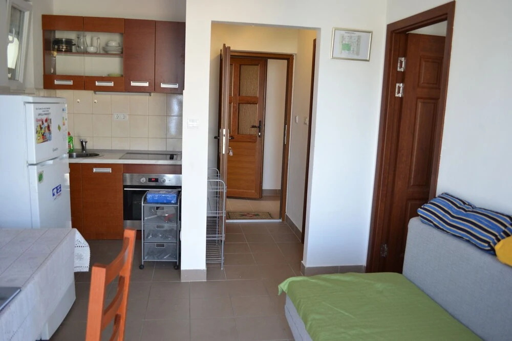 Apartments Borzic