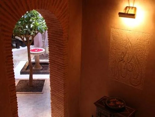 Riad Green Mango