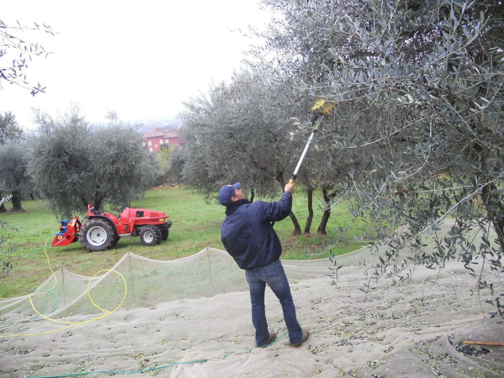 Collina Toscana Agriturismo & Apartments