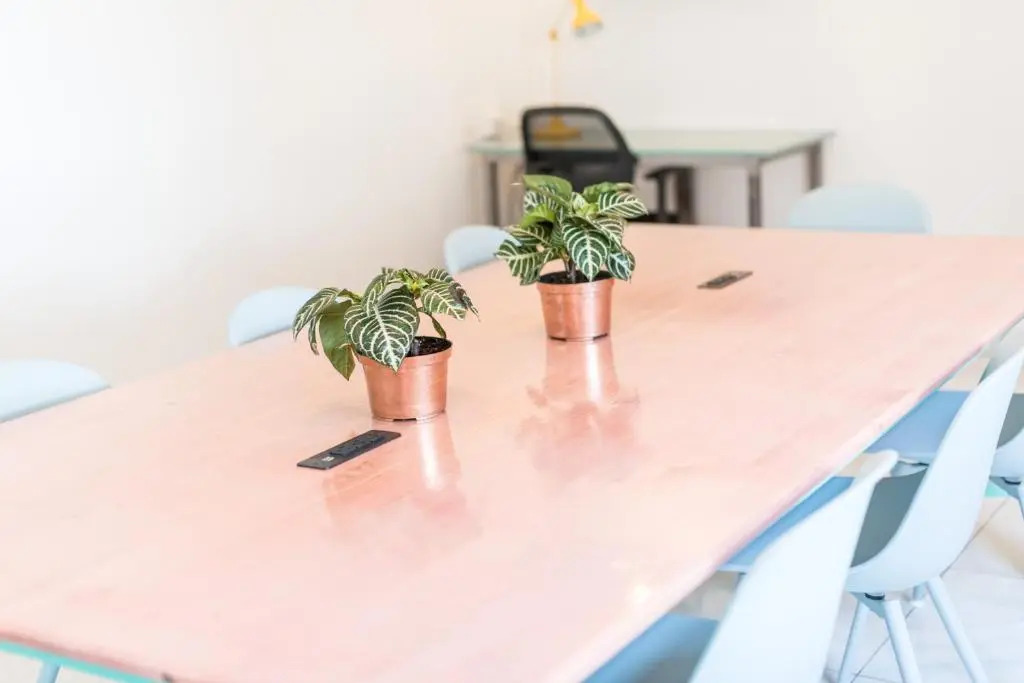 Flamingo Coworking