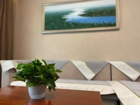 Shijia Suites Apartment (Tianjin Binhai International Airport)