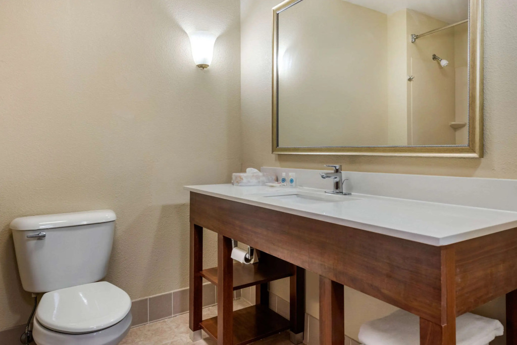 Comfort Suites Dayton-Wright Patterson