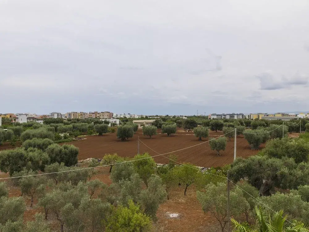 Residenza Il Sole