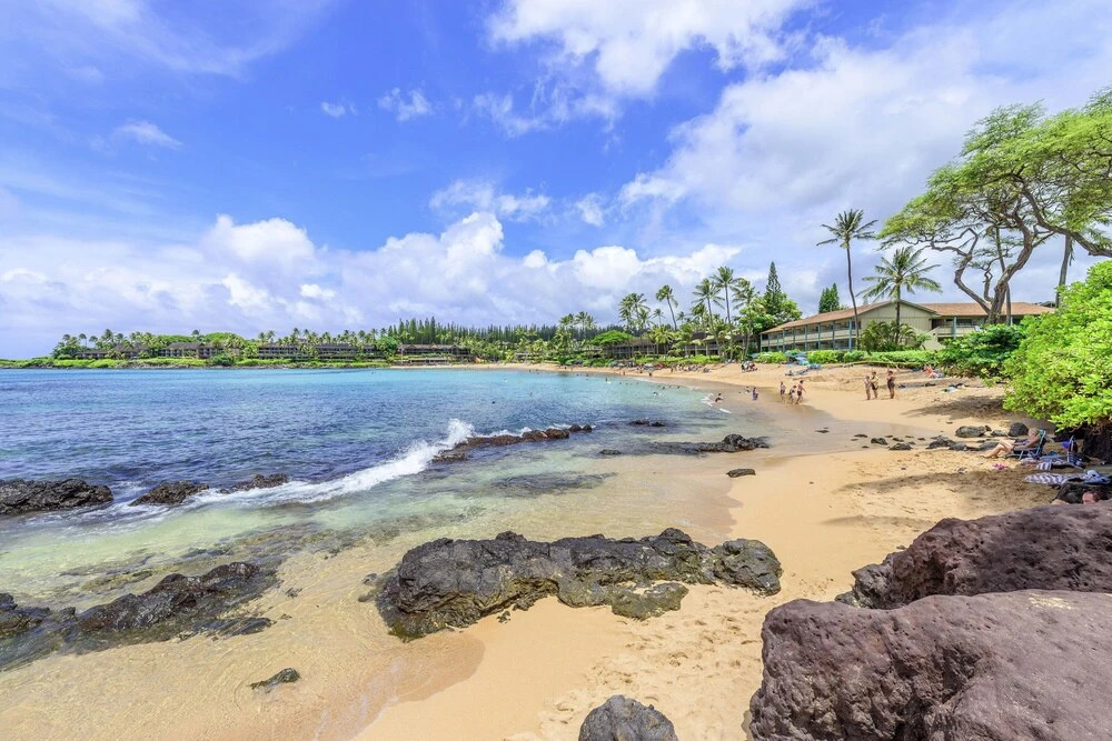 Napili Shores I270 condo