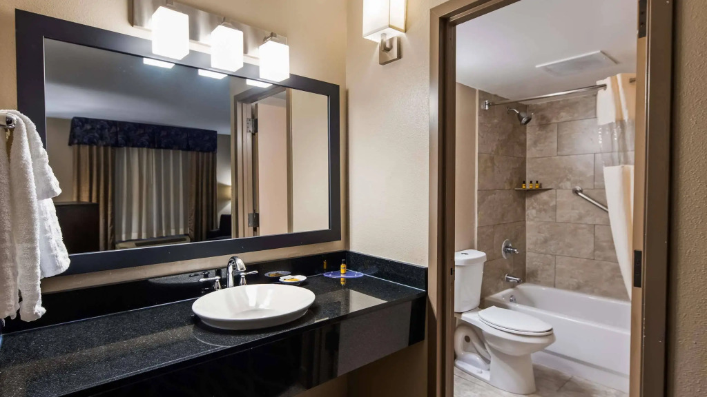 Best Western PLUS Dallas Hotel & Conference Center