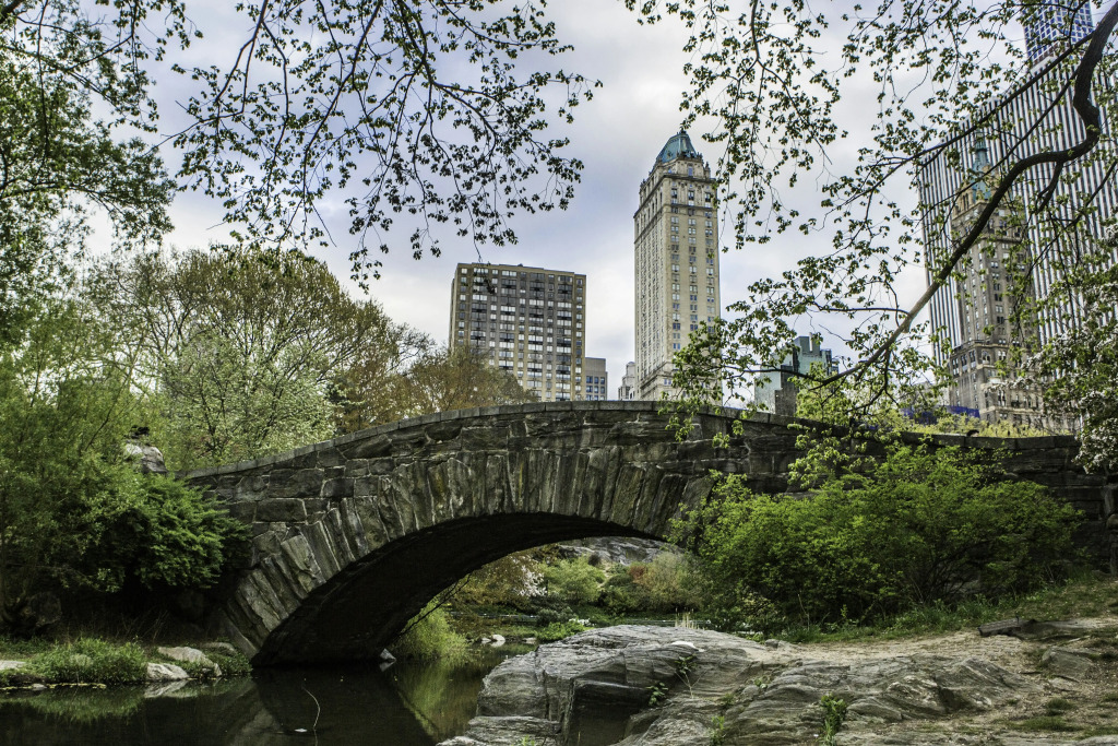 The Pierre, A Taj Hotel, New York