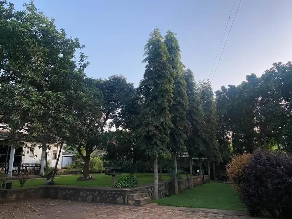 Aivilo Home
