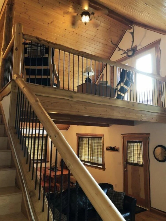 Bear Hideaway