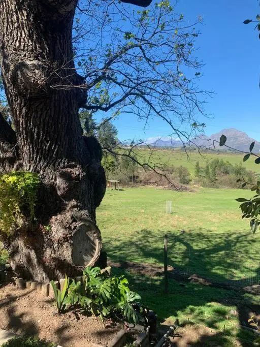 Wildlife Hideaway in the vineyards