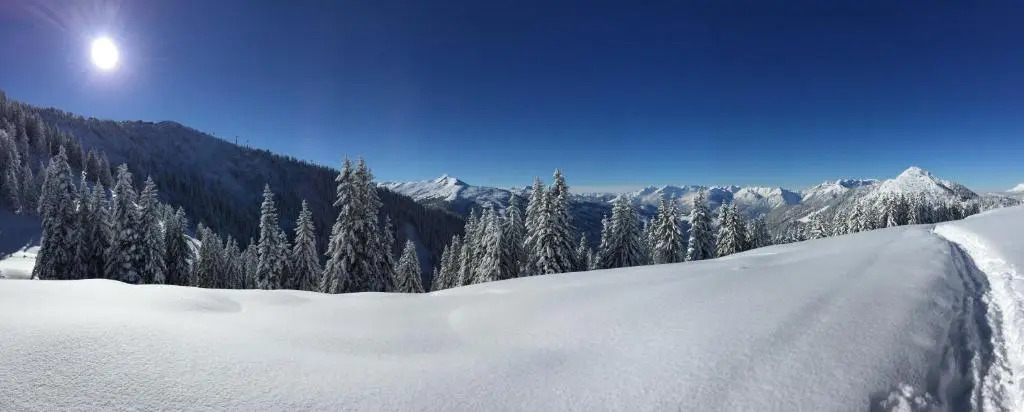 Das Alpbach Juwel