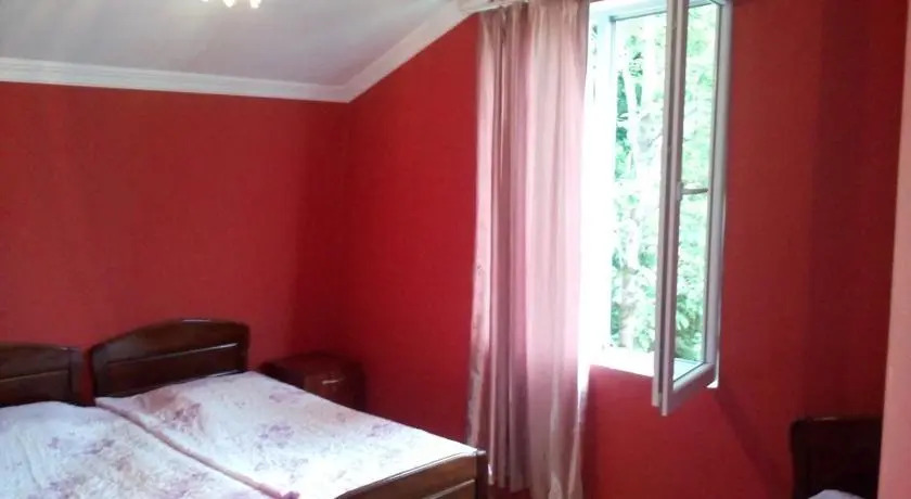 Bidzina Guest House