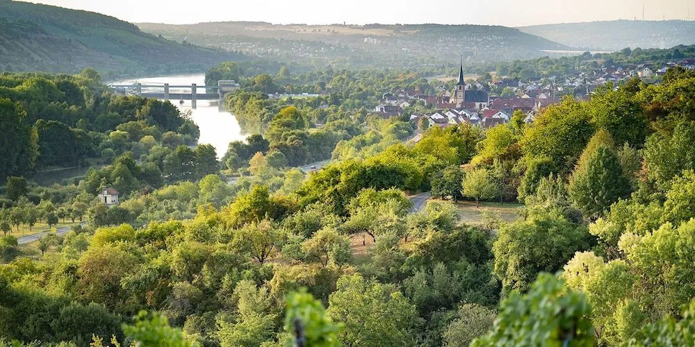 Weingut Martin Blass