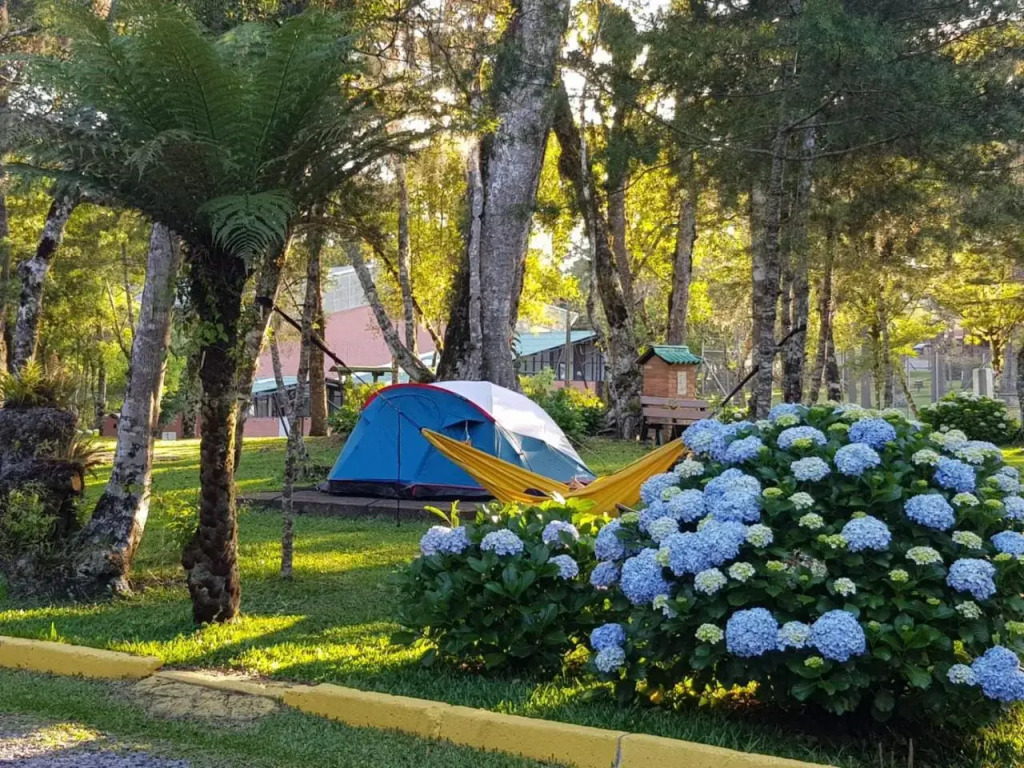 Parque Do Sesi Canela