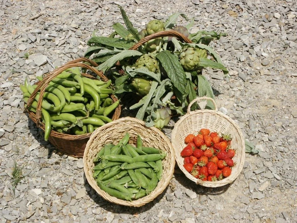 Tenuta Il Casone