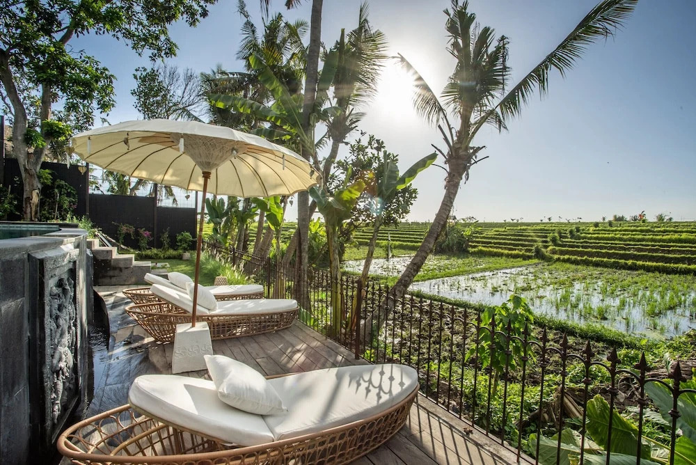 Stunning Villas Complex, 12 BR, Canggu With Staff