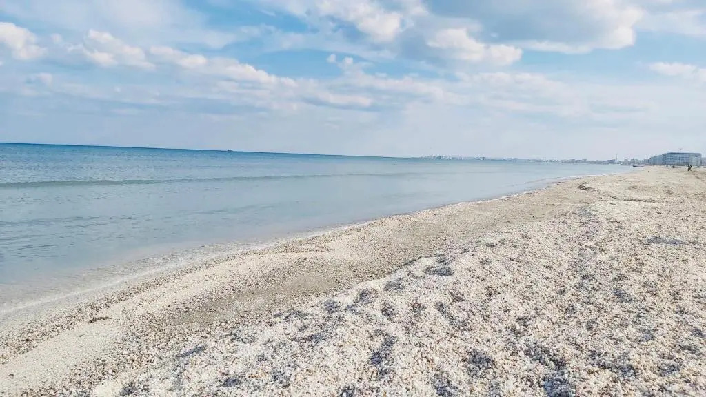 Studio Mamaia-Nord Iuliana