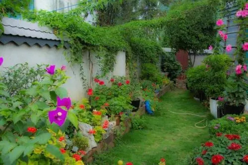 Xingyi Wanfeng Lin Jianshan Guest House