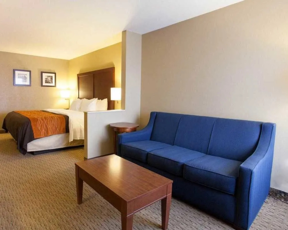 Comfort Inn I-40 East