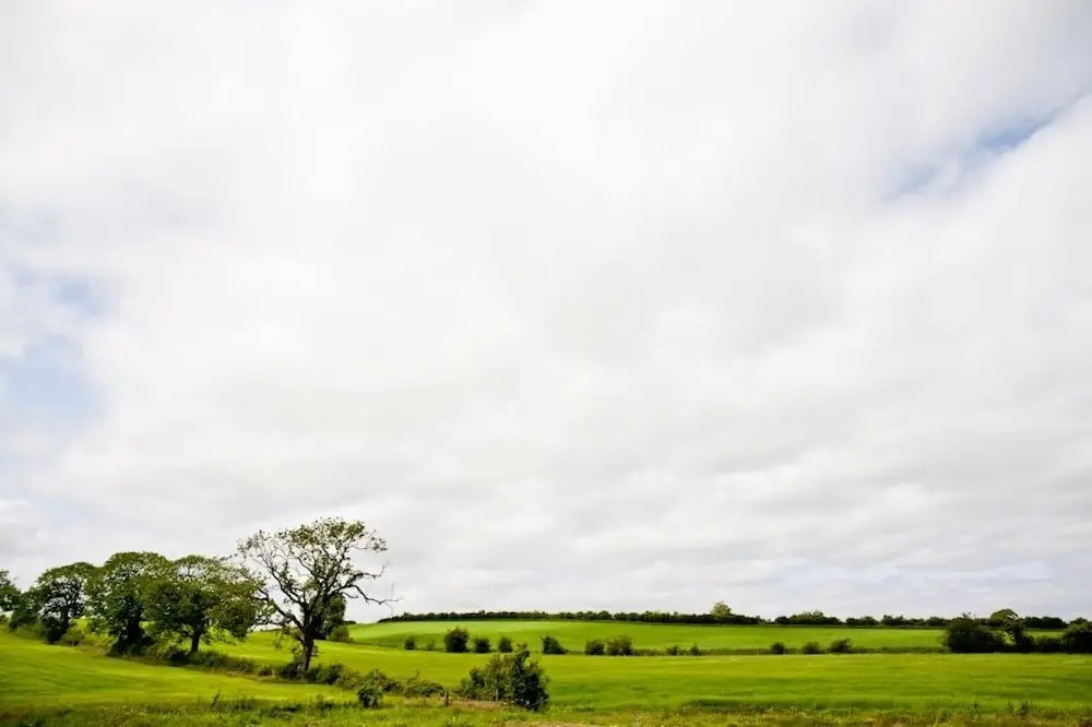 Bamflatt Farm B&B