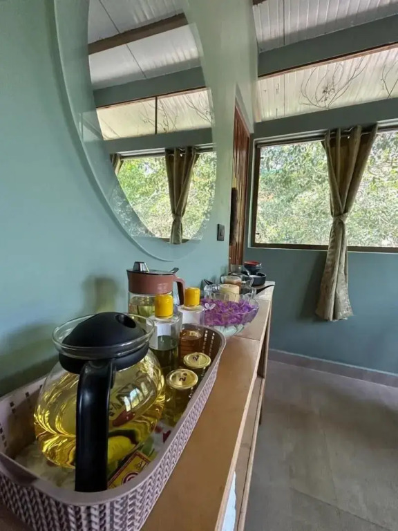 Tadoba Jungle Camp