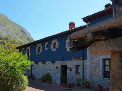 Bajo Los Tilos