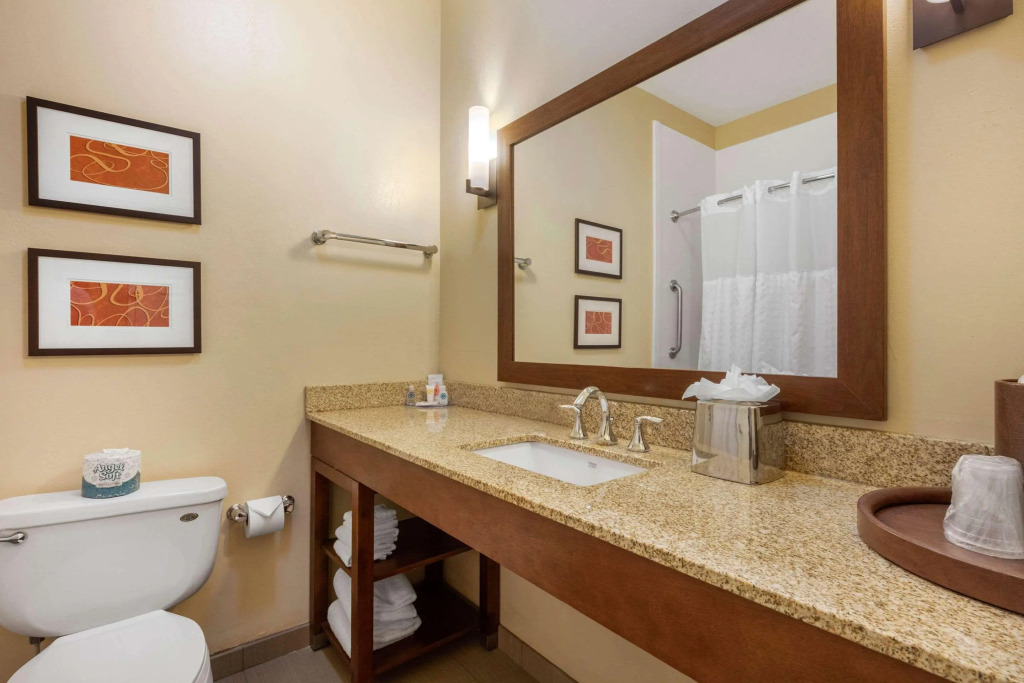 Comfort Inn Memphis Downtown