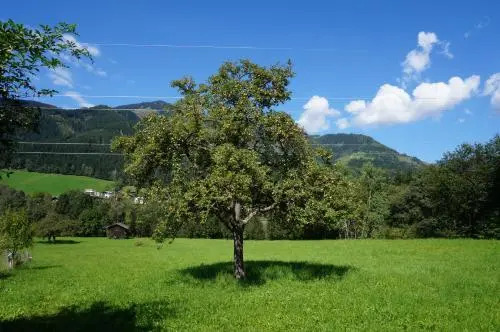 Schmiedhäusl