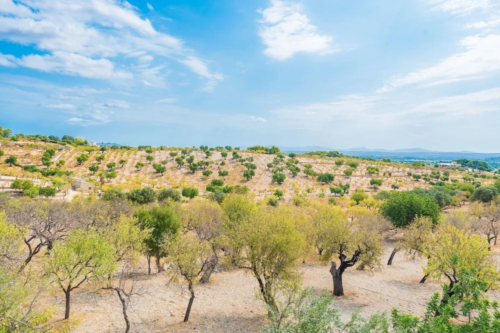 Sa Mata - Villa With Private Pool In Campanet